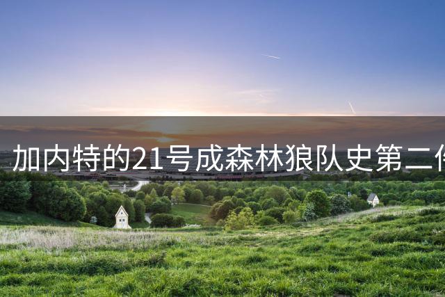 加内特的21号成森林狼队史第二件退役的球衣 首件是其老队友希利